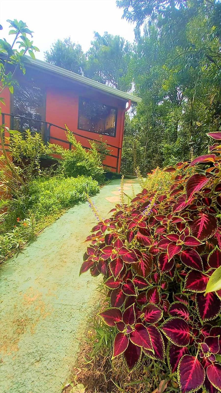 Casa De Montana Tica Linda Villa Monteverde Luaran gambar