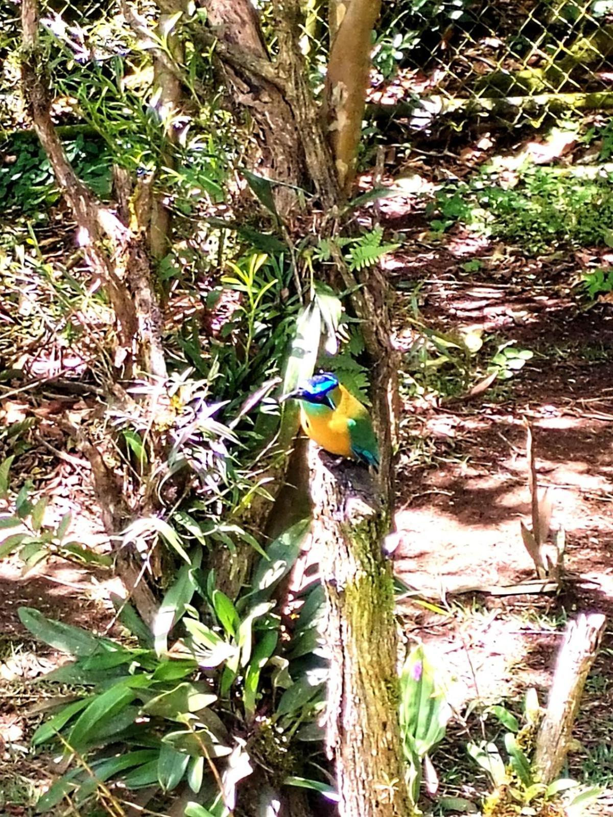 Casa De Montana Tica Linda Villa Monteverde Luaran gambar